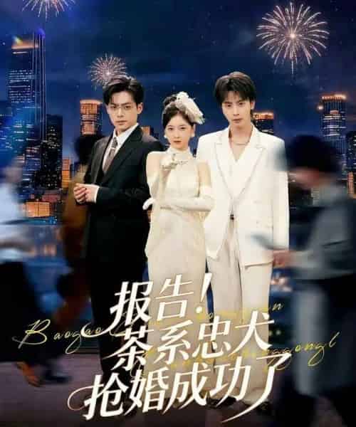 报告!茶系忠犬抢婚成功了(83集全)夏志成&李珈童-搜外项目网