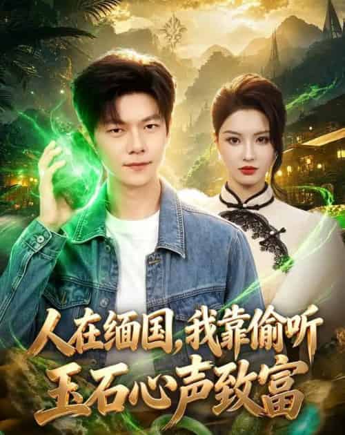人在缅国,我靠偷听玉石心声致富(80集全)刘瀚阳&陈沐琳-搜外项目网