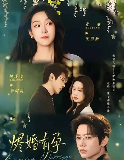 烬婚有孕(61集全)何连飞&麦童-搜外项目网