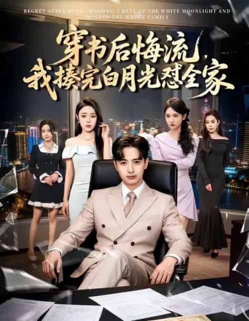 穿书后悔流,我揍完白月光怼全家(66集全)王成&李北辰-搜外项目网