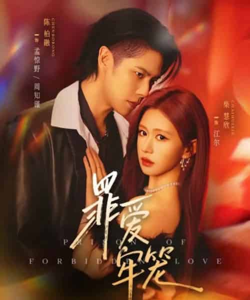 罪爱牢笼(72集全)陈柏融&柴慧欣-搜外项目网