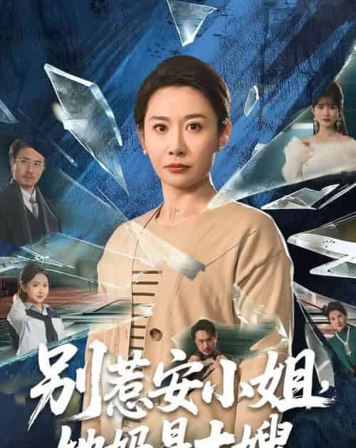 别惹安小姐,她妈是大嫂(100集全)王圻嘉&王辉-搜外项目网