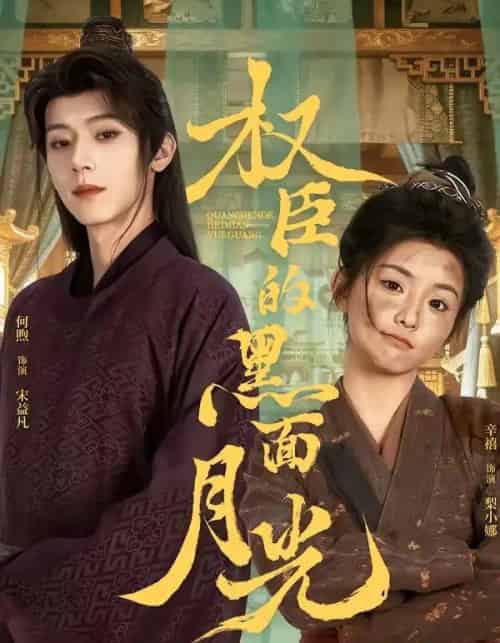 权臣的黑面月光(60集全)宋益凡&梨小娜-搜外项目网