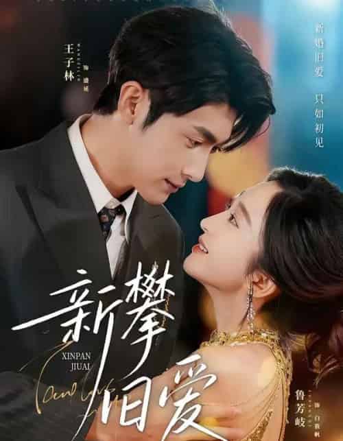 新攀旧爱(67集全)王子林&鲁芳岐-搜外项目网