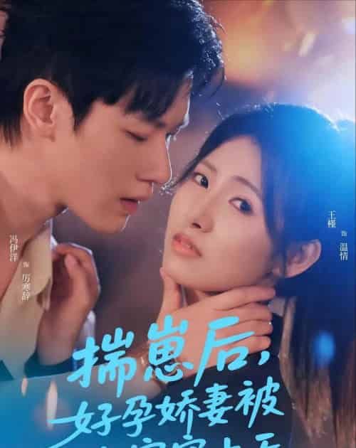 揣崽后,好孕娇妻被全家宠上天(77集全)冯伊洋&王槿-搜外项目网