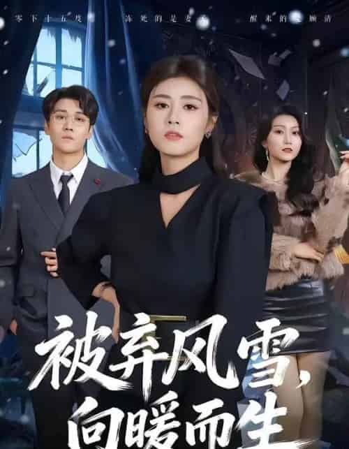 被弃风雪,向暖而生(60集全)郭嘉铭&邹洁仪-搜外项目网