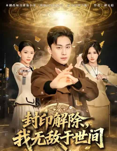 封印解除,我无敌于世间(75集全)刘琉&陆宇-搜外项目网