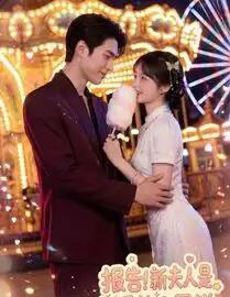 报告!新夫人是香软小蛋糕(90集全)AI-搜外项目网