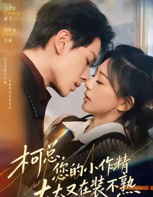 柯总,您的小作精太太又在装不熟(80集全)冯伊洋&吴伊纯-搜外项目网
