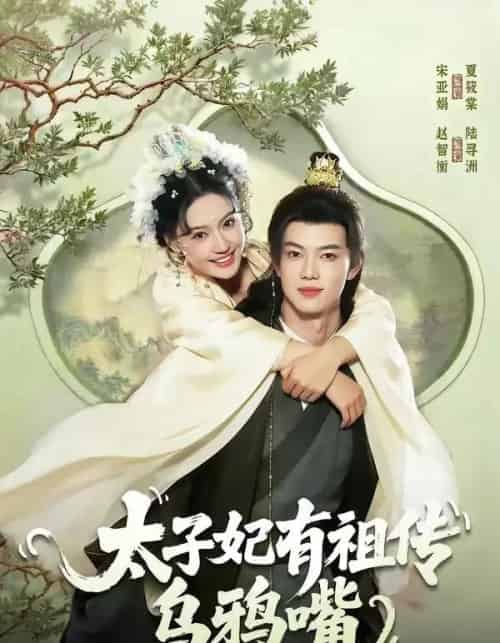 太子妃有祖传乌鸦嘴(73集全)赵智衡&城城-搜外项目网