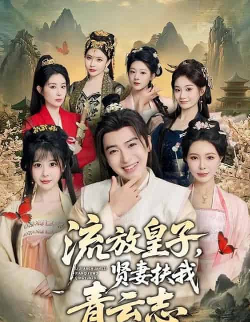 流放皇子,贤妻扶我青云志(76集全)王成&钱思怡-搜外项目网