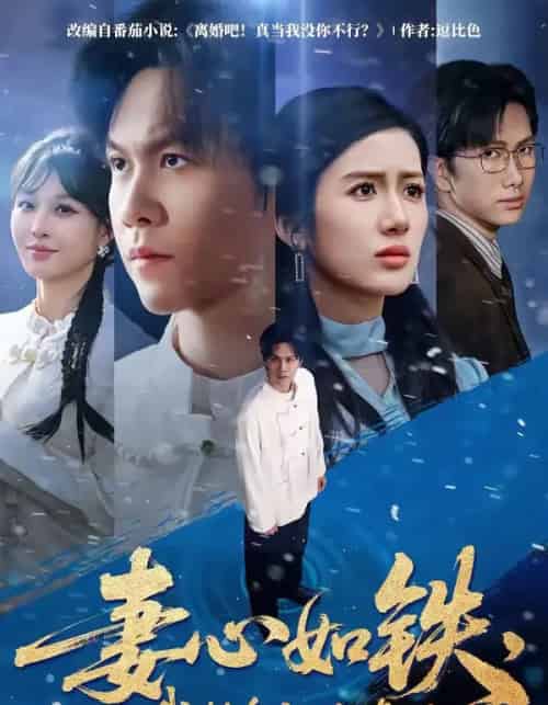 妻心如铁,我转身离婚修仙(81集全)陈景霖&陈丹-搜外项目网