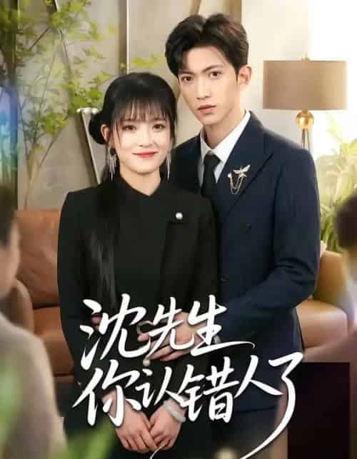 沈先生你认错人了(51集全)孙敬东&周艺凝-搜外项目网