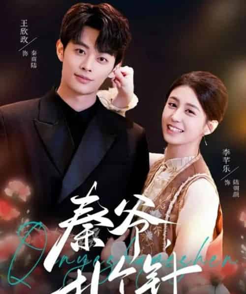 秦爷,扎个针(85集全)王欣政&李芊乐-搜外项目网