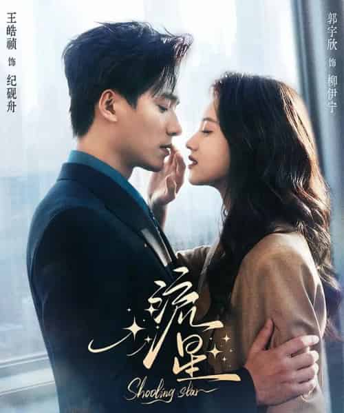流星(77集全)王皓祯&郭宇欣-搜外项目网