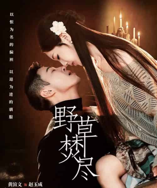 野草焚尽(74集全)黄渲文&戚羽佳-搜外项目网