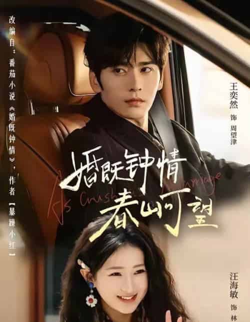 婚既钟情,春山可望&热恋,从新婚开始(91集全)王奕然&汪海敏-搜外项目网