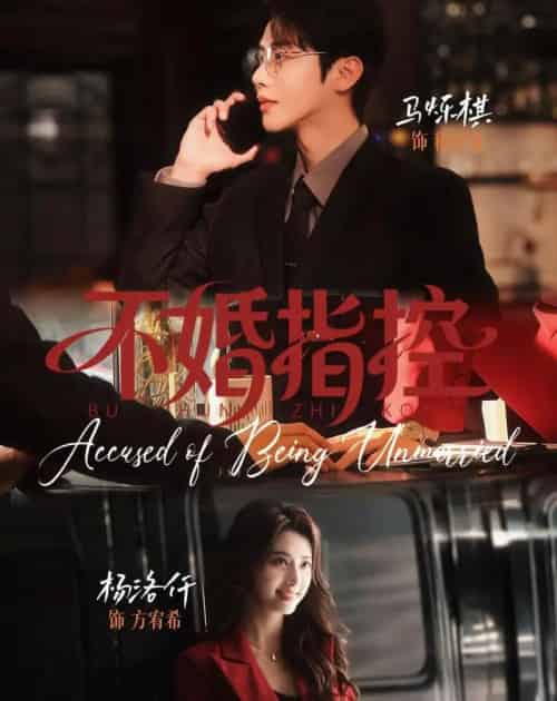 不婚指控(68集全)马烁棋&杨洛仟-搜外项目网
