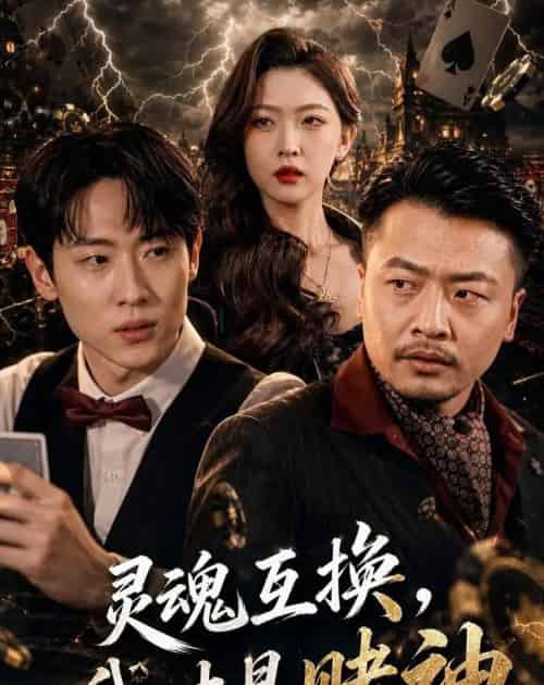 灵魂互换,我才是赌神(61集全)薛滨弘&任绵绵-搜外项目网