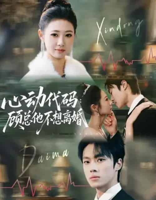 心动代码:顾总他不想离婚(80集全)管怡欣&杨晨-搜外项目网