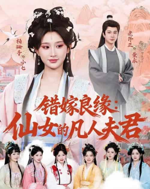错嫁良缘:仙女的凡人夫君(53集全)杨珊子&建泽正-搜外项目网