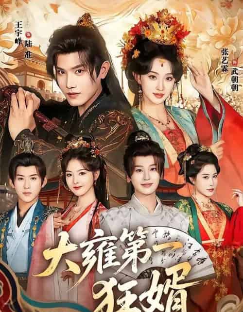 大雍第一狂婿(90集全)王宇峰&张艺霖-搜外项目网