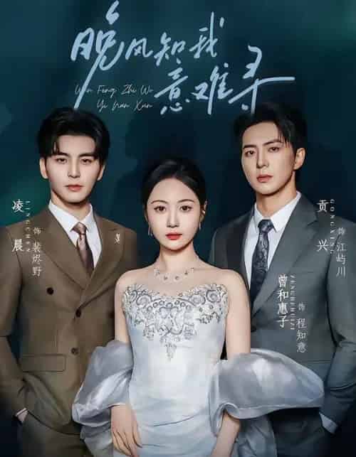 晚风知我意难寻(60集全)凌晨&曾和惠子-搜外项目网