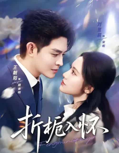 折栀入怀(82集全)王朝阳&刘昱辰-搜外项目网