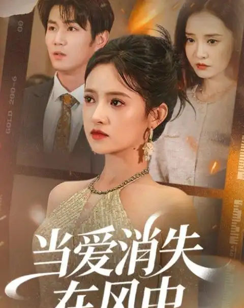 当爱消失在风中(73集全)吴梦媛&宋骏-搜外项目网