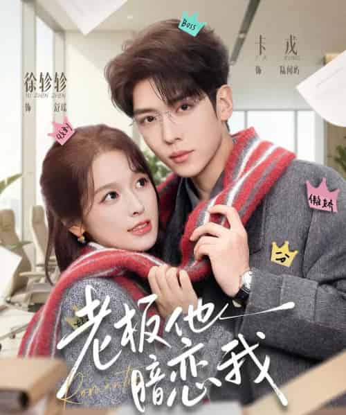 老板他暗恋我(73集全)卡戎&徐轸轸-搜外项目网