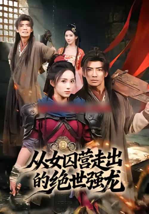 从女囚营走出的绝世强龙(70集全)张瀚文(男)&李钊-搜外项目网