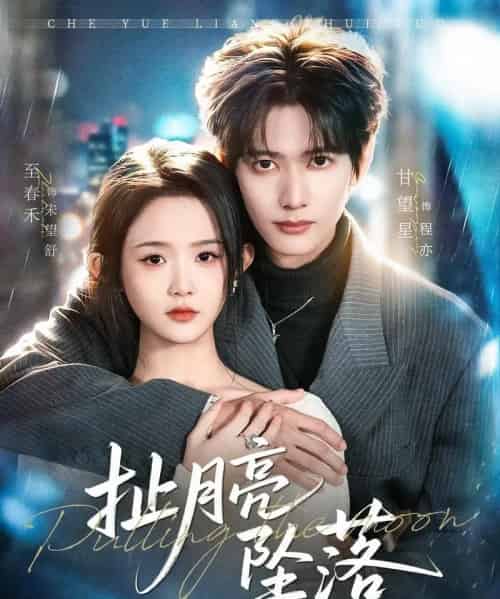 扯月亮坠落(81集全)甘望星&至春禾-搜外项目网