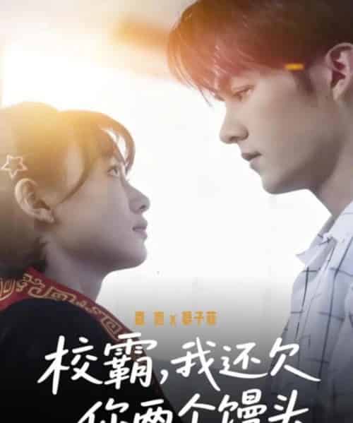 校霸,我还欠你两个馒头(60集全)嘉言&宴子菲-搜外项目网