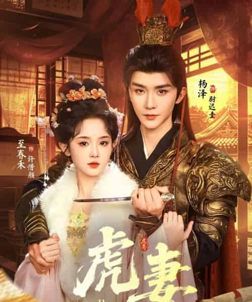 虎妻(64集全)杨泽&至春禾-搜外项目网