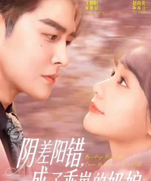 阴差阳错,成了乖崽的奶娘(69集全)王朝阳&赵由美-搜外项目网