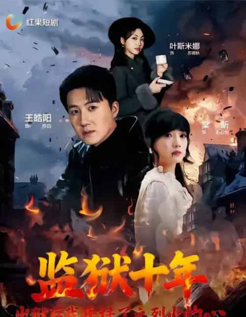 监狱十年,出狱后我开挂了之烈火灼心(80集全)王皓阳&棠昕-搜外项目网