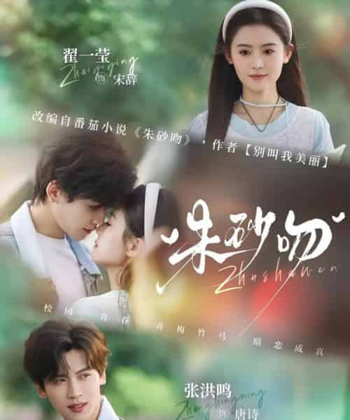 朱砂吻(110集全)翟一莹&张洪鸣-搜外项目网