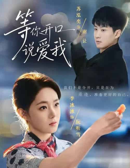 等你开口说爱我(60集全)苏泓奕&李冰冰-搜外项目网