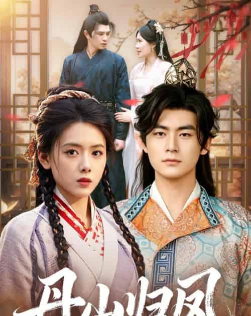 丹山归凤(61集全)彭娜莎&苏畅-搜外项目网