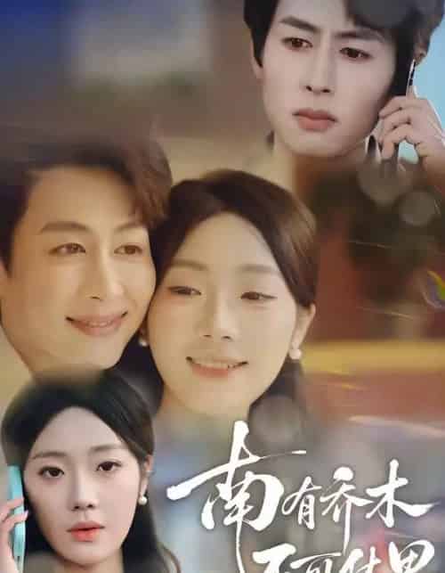 南有乔木,不可休思(68集全)邢航铭&孔祥东-搜外项目网