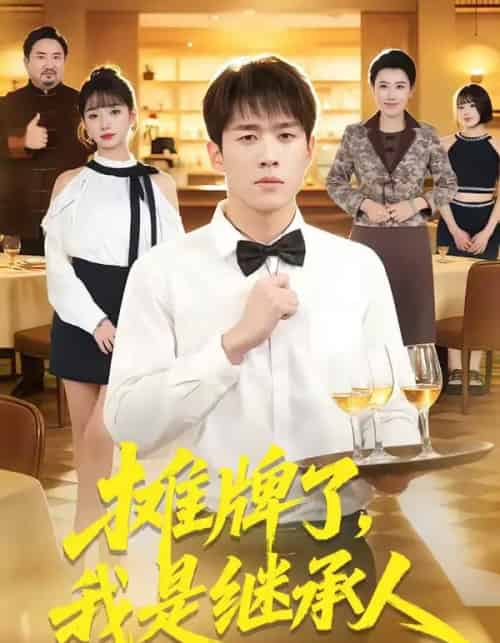 摊牌了,我是继承人(79集全)董文瀚&马紫璇-搜外项目网