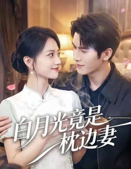 白月光竟是枕边妻(50集全)席如意&韩品杰-搜外项目网