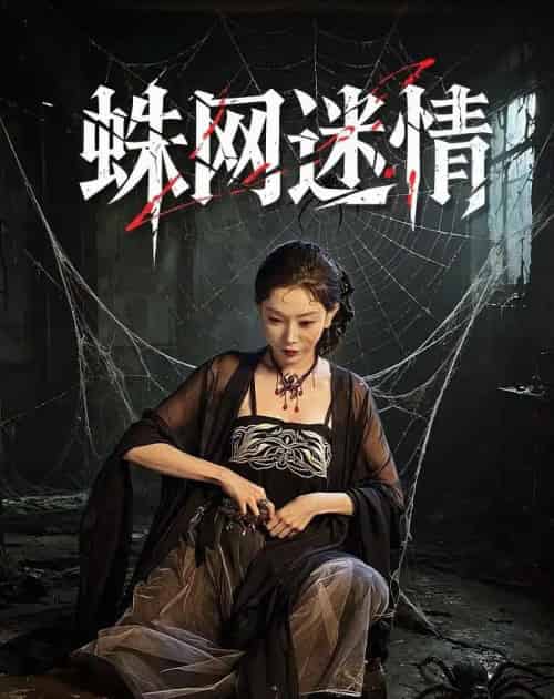 蛛网迷情(56集全)吴玥紫&范高坡-搜外项目网