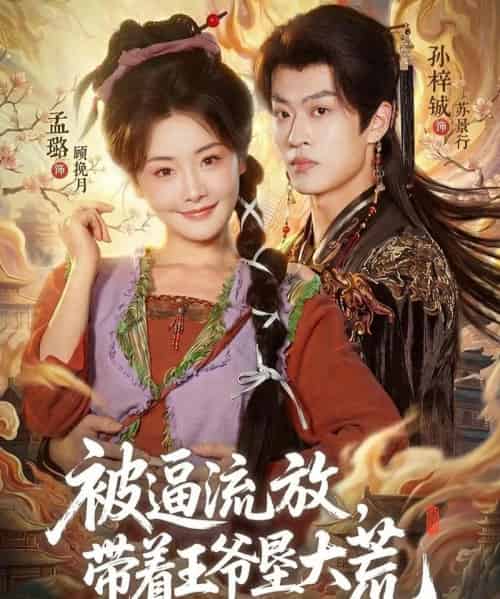 被逼流放,带着王爷垦大荒&嫁王爷,惨流放,我带全家垦大荒(80集全)孙梓铖&孟璐-搜外项目网
