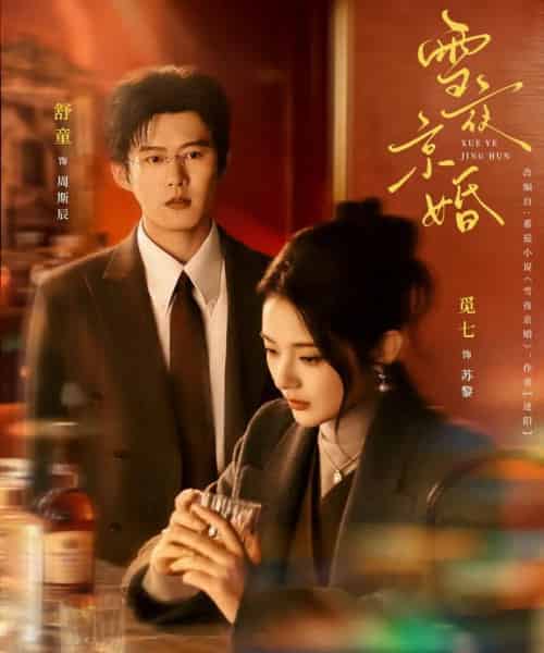 雪夜京婚(84集全)舒童&觅七-搜外项目网