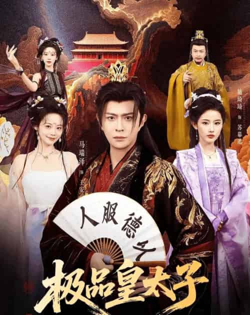 极品皇太子(81集全)马瑞泽&施琦琦-搜外项目网