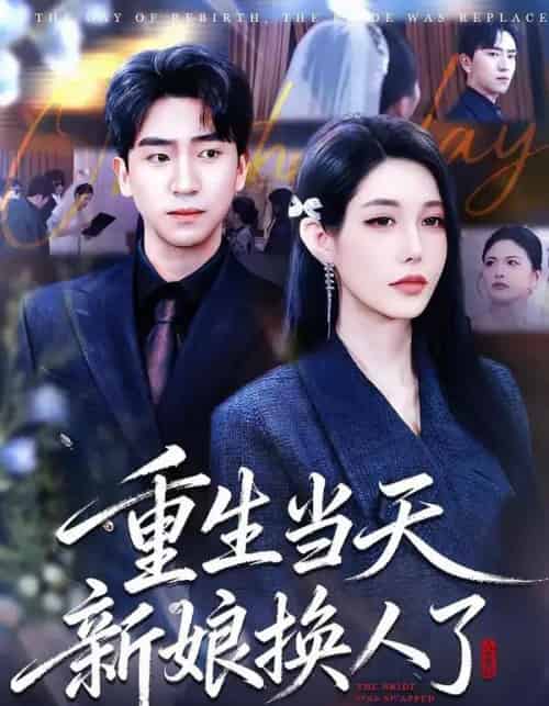 重生当天新娘换人了(72集全)梓豪&凌月-搜外项目网