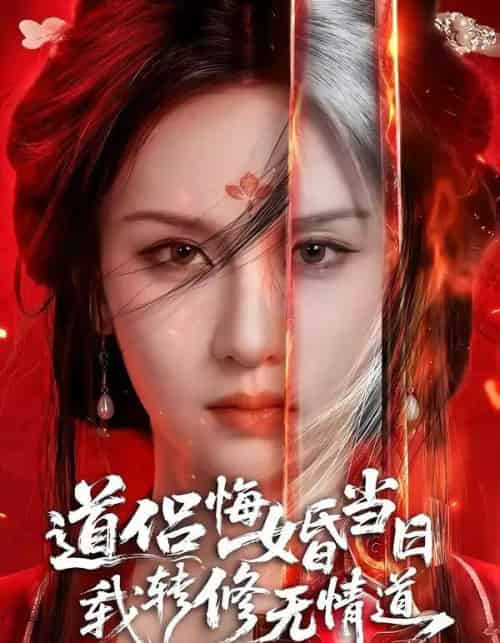 道侣悔婚当日,我转修无情道(50集全)AI-搜外项目网