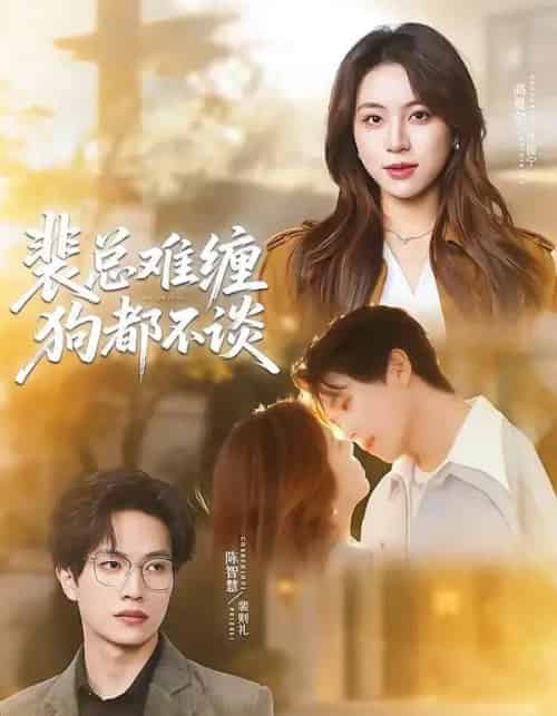 裴总难缠狗都不谈(65集全)陈智慧&高曼尔-搜外项目网