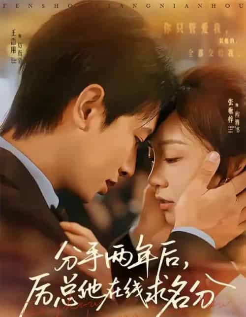 分手两年后,厉总他在线求名分(70集全)王浩翔&张楸梓-搜外项目网